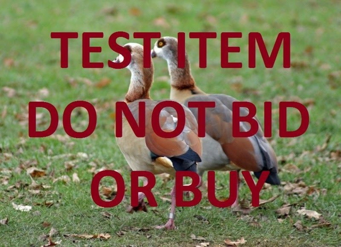 ANDR Test Auction DO NOT BID OR BUY - SME JSS Related 2.JPG